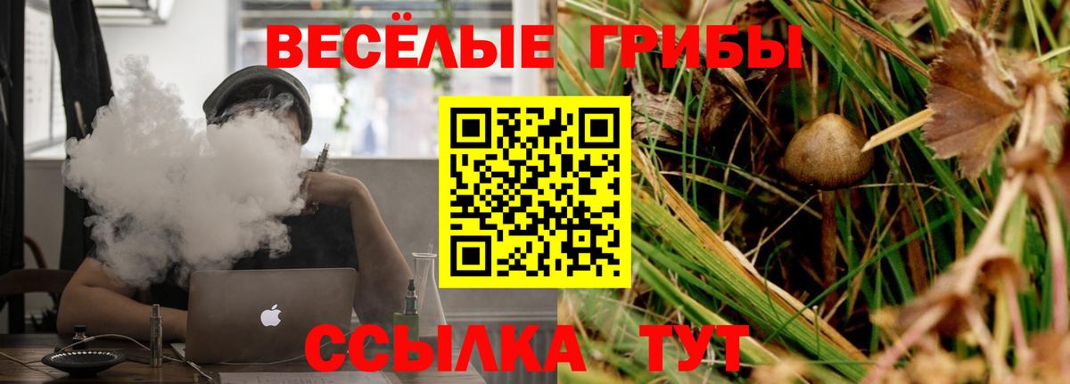 Галлюциногенные грибы мухоморы Сланцы